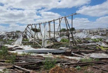 Economía Popular | Productores hortícolas se organizan tras temporal