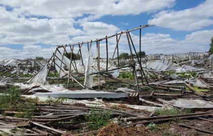 Economía Popular | Productores hortícolas se organizan tras temporal