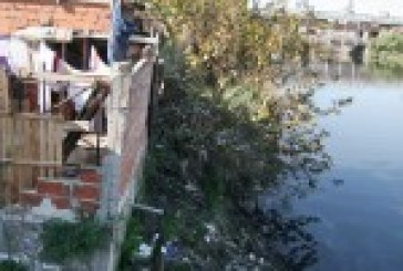 Sólo a través de la organización se pueden resolver los problemas
