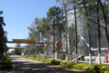 El Molino de Romang no cierra