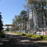 El Molino de Romang no cierra