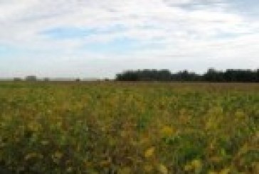 Parte de la oposición se niega a tratar la Ley de Tierras