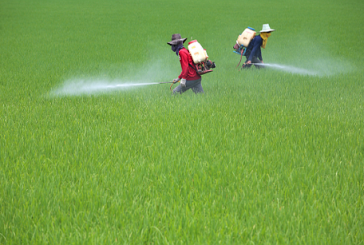 Avance de Monsanto en Córdoba: «Es un peligro atroz para la población»